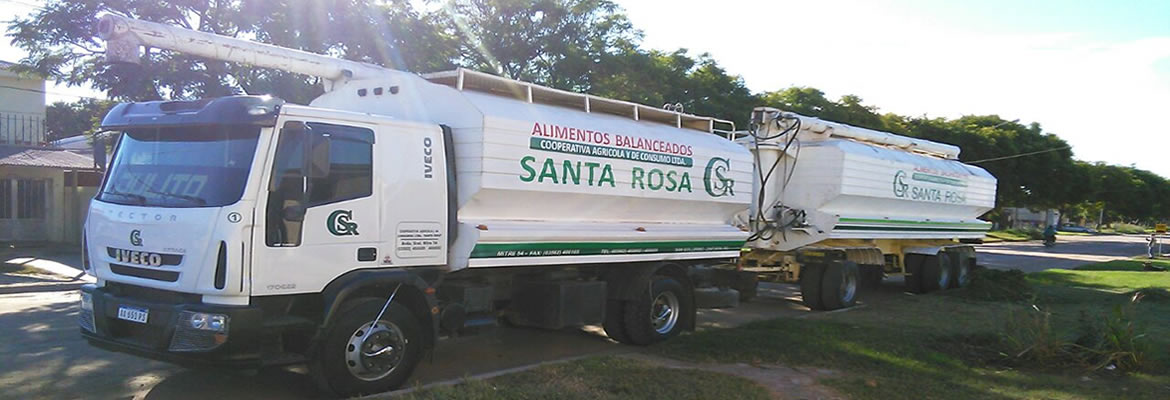 Insumos